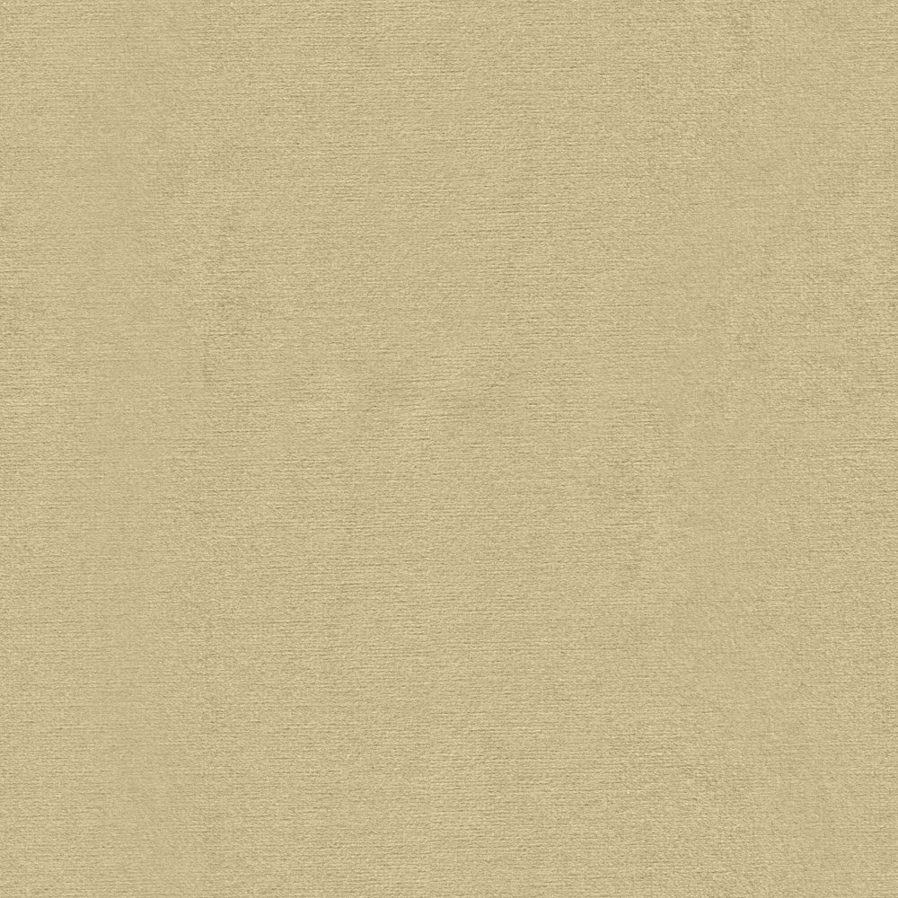 Visualizza l'immagine a schermo intero Campione di tessuto – Velour