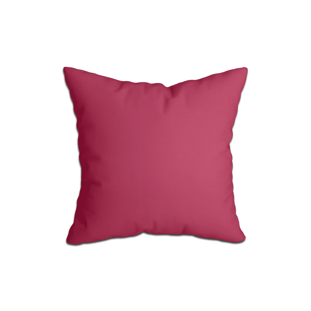 Cuscino decorativo su misura in Sunbrella